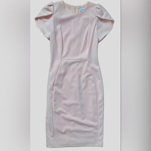 Calvin Klein Tulip-Sleeve Sheath Dress Pale Pink Stretch Crepe Lined Size 2